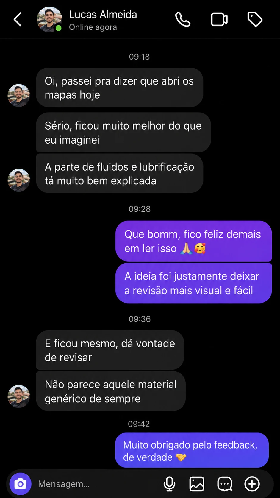 Avaliação de Lucas sobre a revisão visual e organizada